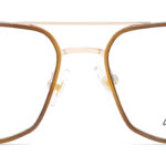 Oprawy okularowe BL531BROWNKGOLD